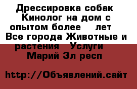 Дрессировка собак (Кинолог на дом с опытом более 10 лет) - Все города Животные и растения » Услуги   . Марий Эл респ.